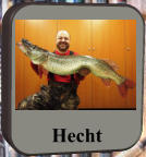 Hecht